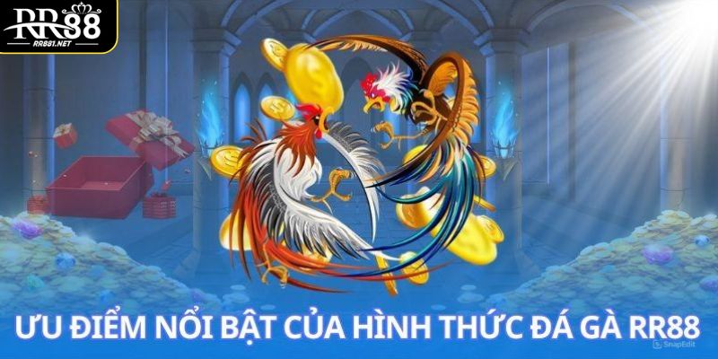 Những ưu điểm nổi bật thu hút người chơi của đá gà RR88