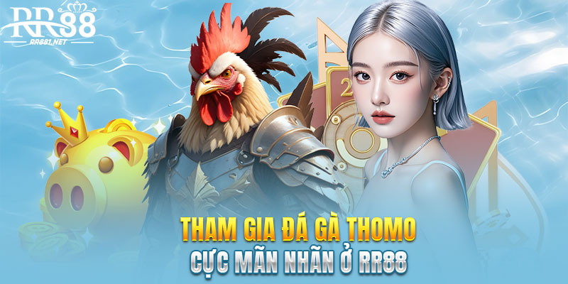 Tham gia cá cược đá gà kịch tính